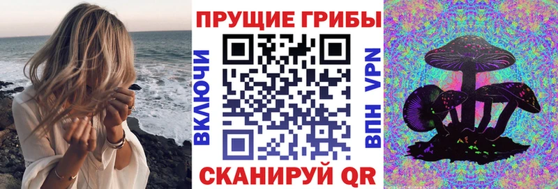 kraken рабочий сайт  Бикин  Галлюциногенные грибы Psilocybine cubensis  наркота 